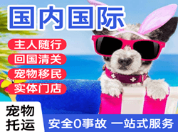 包头东河航空快运国际宠物托运 【国